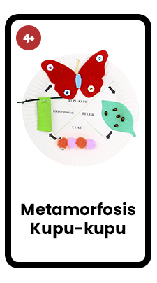 metamorfosis kupu-kupu