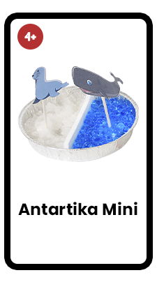 antartika mini