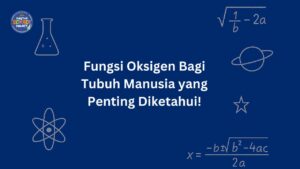 Fungsi Oksigen bagi tubuh manusia yang penting diketahui